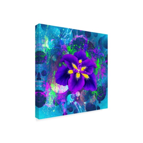 Ata Alishahi 'Flower Design 4Ax' Canvas Art,35x35